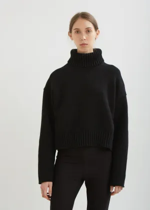 Cotton Cashmere Turtleneck Pullover